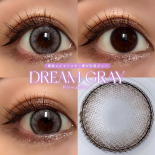 MOLAK 1day Dream Gray モラクワンデー ドリームグレー